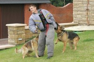 Принят ГОСТ на услуги по дрессировке служебных собак 